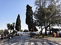 DSC03986.JPG