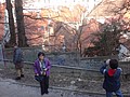DSC02262.JPG