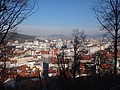 DSC02266.JPG