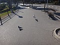 DSC02299.JPG