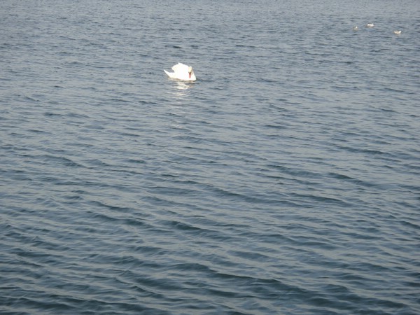 DSC03995.JPG