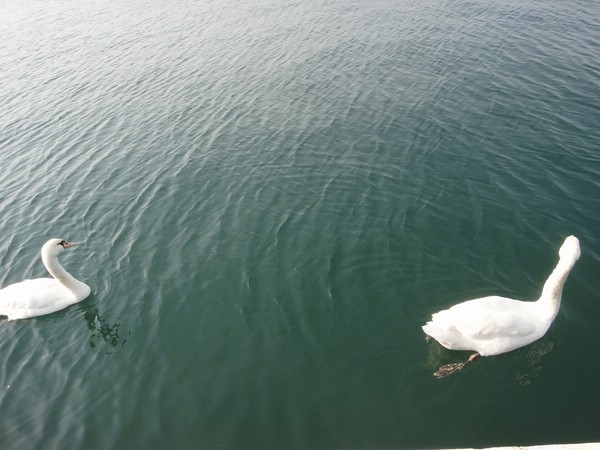 DSC04010.JPG