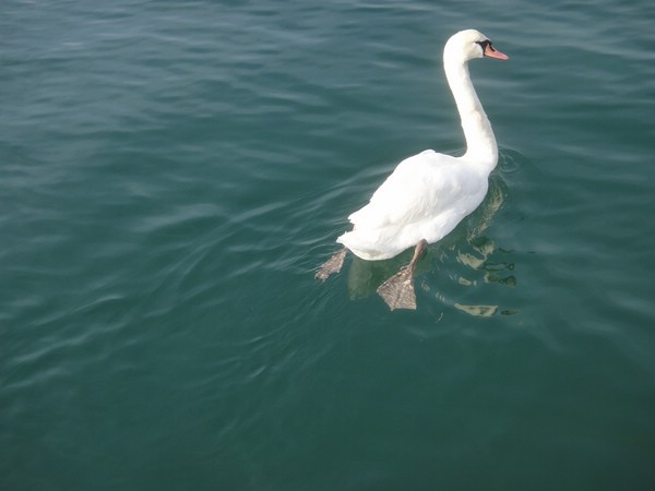 DSC04012.JPG