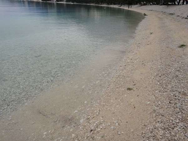 DSC04048.JPG