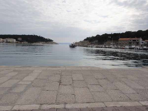 DSC04050.JPG