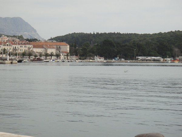 DSC04051.JPG