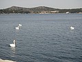 DSC03993.JPG