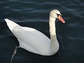 DSC03994.JPG