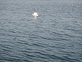 DSC03995.JPG