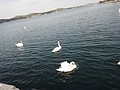 DSC03996.JPG