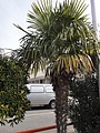 DSC04008.JPG