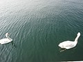 DSC04010.JPG