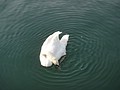 DSC04011.JPG