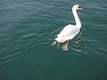 DSC04012.JPG