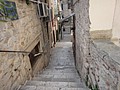 DSC04036.JPG