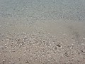 DSC04047.JPG