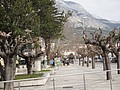 DSC04053.JPG
