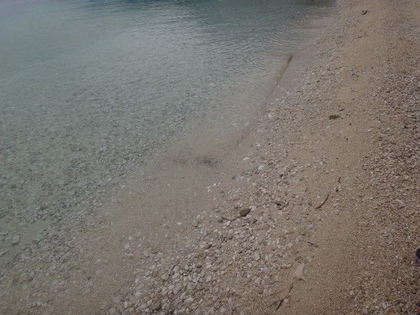 DSC02376.JPG