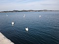 DSC02318.JPG