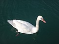 DSC02323.JPG