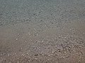 DSC02375.JPG