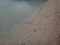 DSC02376.JPG