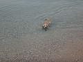 DSC02377.JPG