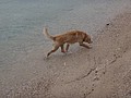 DSC02378.JPG