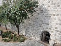DSC04067.JPG