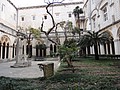 DSC04110.JPG