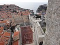 DSC04141.JPG