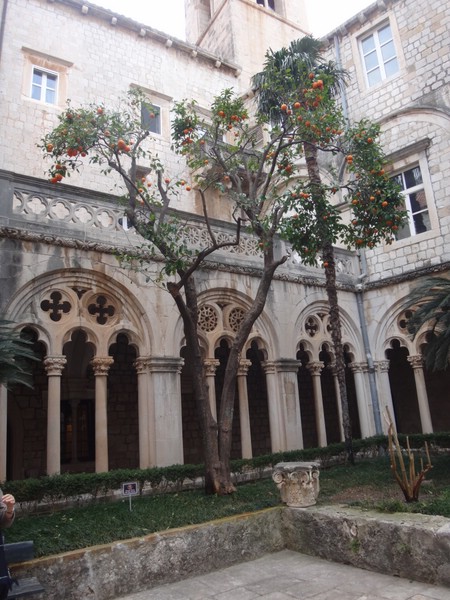 DSC02510-1.JPG
