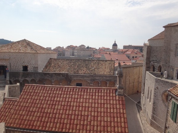 DSC02520.JPG