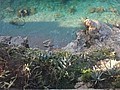 DSC02439.JPG
