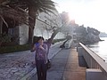DSC02441.JPG