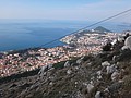 DSC02473.JPG