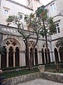 DSC02510-1.JPG