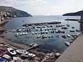 DSC02516.JPG