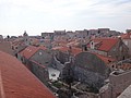 DSC02525.JPG