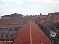DSC02526.JPG