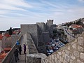 DSC02528.JPG