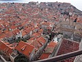 DSC02531.JPG