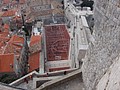 DSC02537.JPG