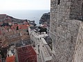 DSC02538.JPG