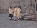 DSC02559.JPG