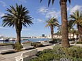 DSC04150.JPG