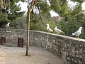 DSC04183.JPG