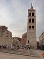 DSC04185.JPG