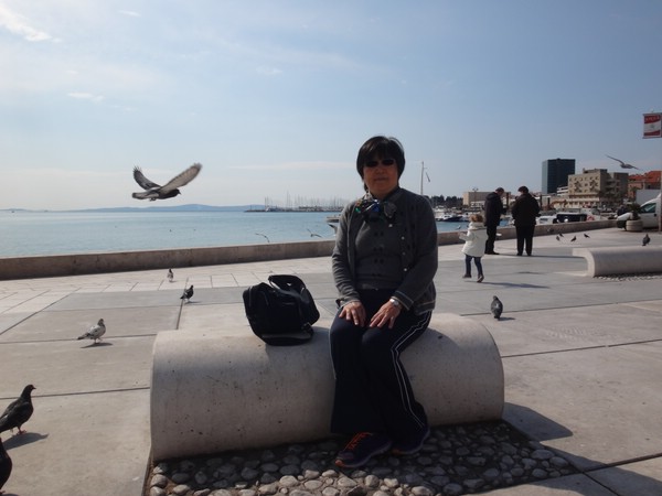 DSC02709.JPG