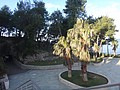 DSC02588.JPG